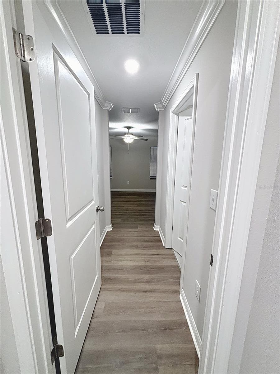 Townhouse at 1509 CASSIUS ST, LUTZ, photo 13 of 36