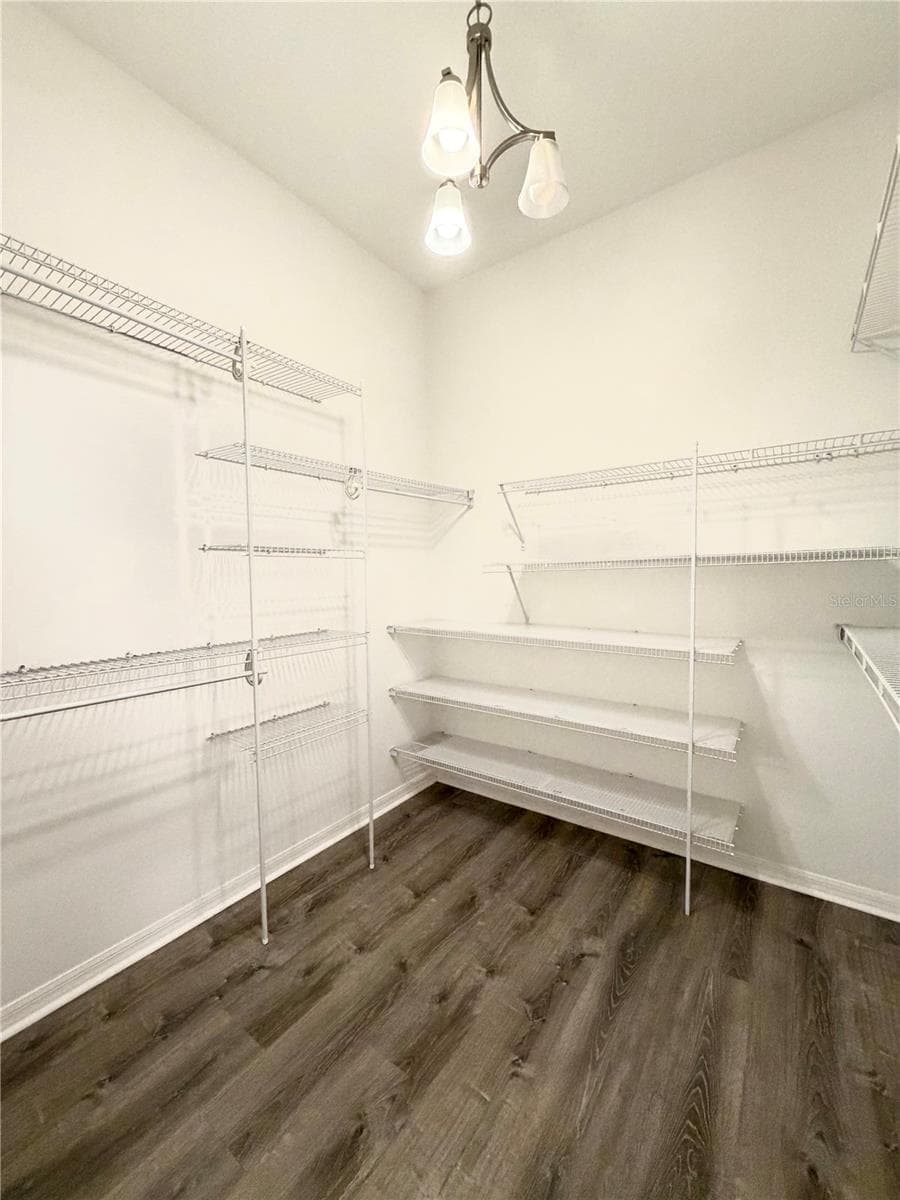 Master walk-in Closet - 2409 TREYMORE DR, ORLANDO