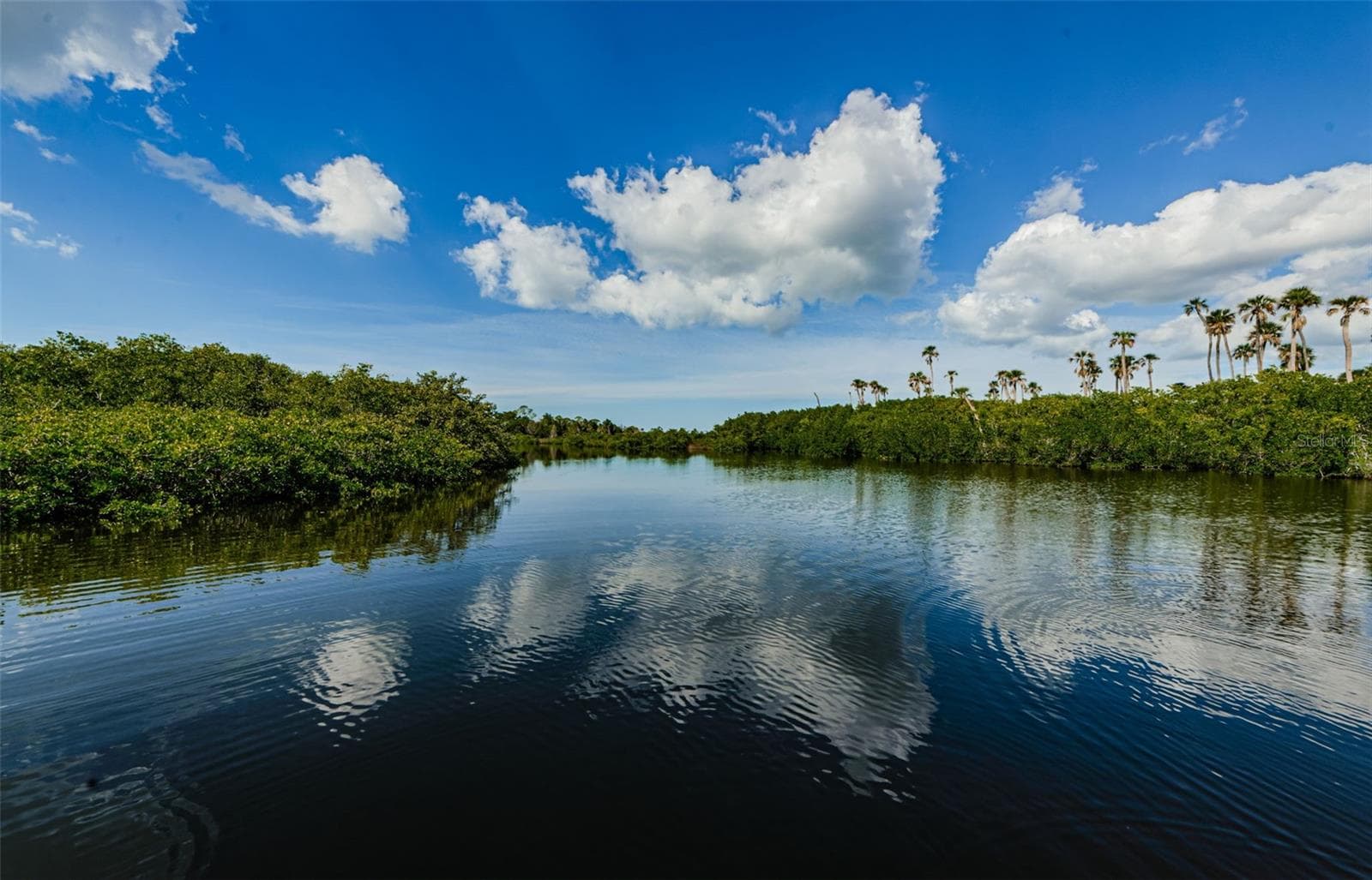 Condominium at 9930 EAGLES POINT CIR #1, PORT RICHEY, photo 68 of 81
