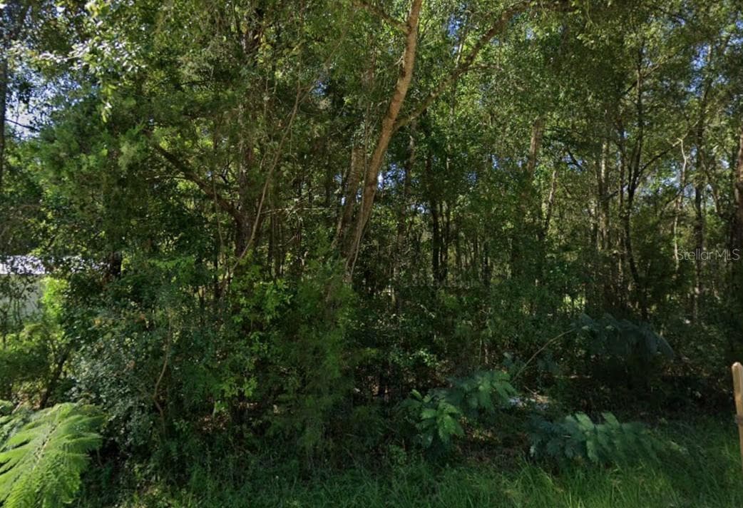 Land at Lot 12 NW 12TH LN, OCALA, photo 7 of 11