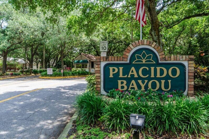 24/7 Guard gated community. - 4851 WINDMILL PALM TER NE, ST PETERSBURG