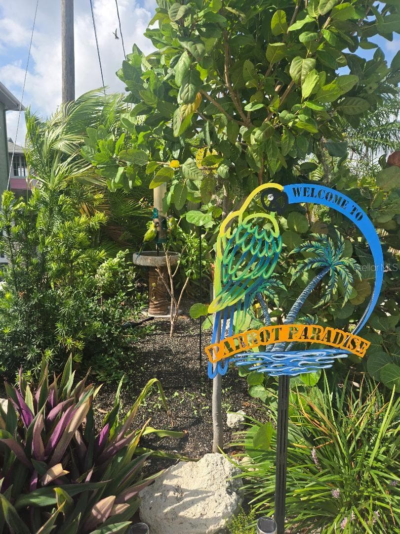 Parrot's Paradise at the corner of Condo property - 5605 SHORE BLVD S #1B, GULFPORT