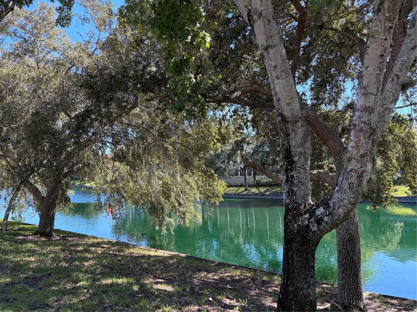 Waterview in backyard - 10 LAKESIDE WAY N, PALM COAST