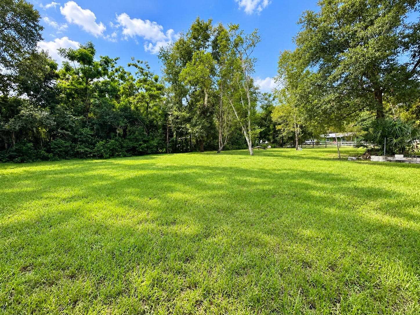 Single Family Residence at 37716 BETH ST, DADE CITY, photo 51 of 53