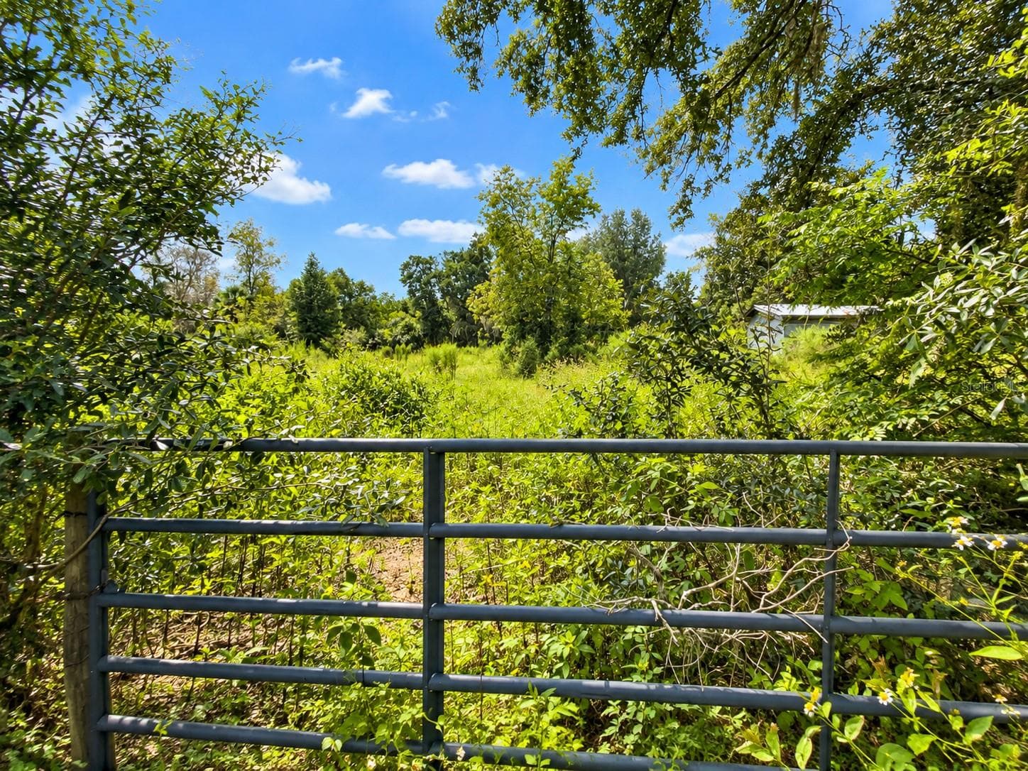 Back two acres - 37716 BETH ST, DADE CITY