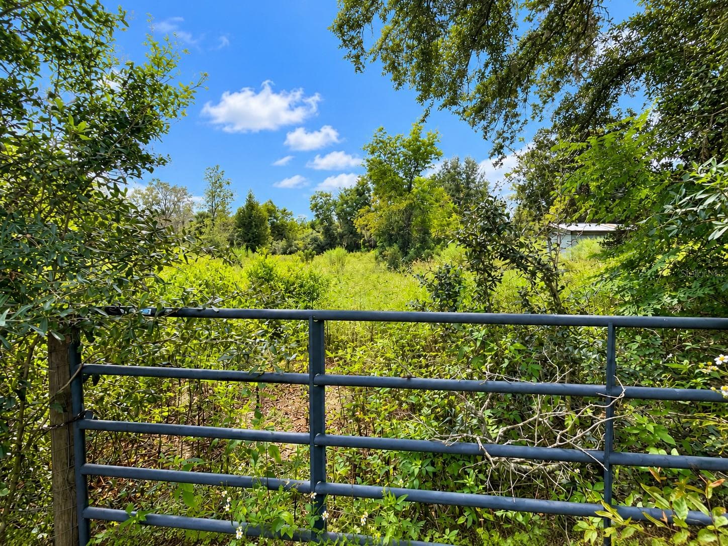 Back two acres - 37716 BETH ST, DADE CITY