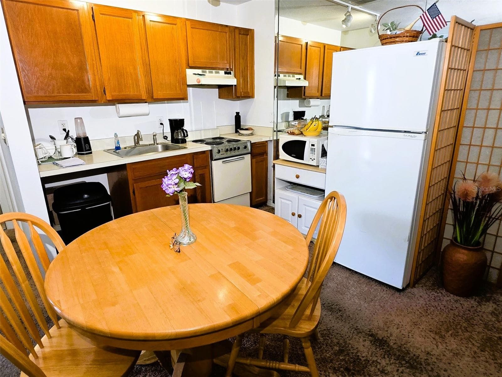 APARTMENT - 1778 SAMURAI PT #4, LUTZ