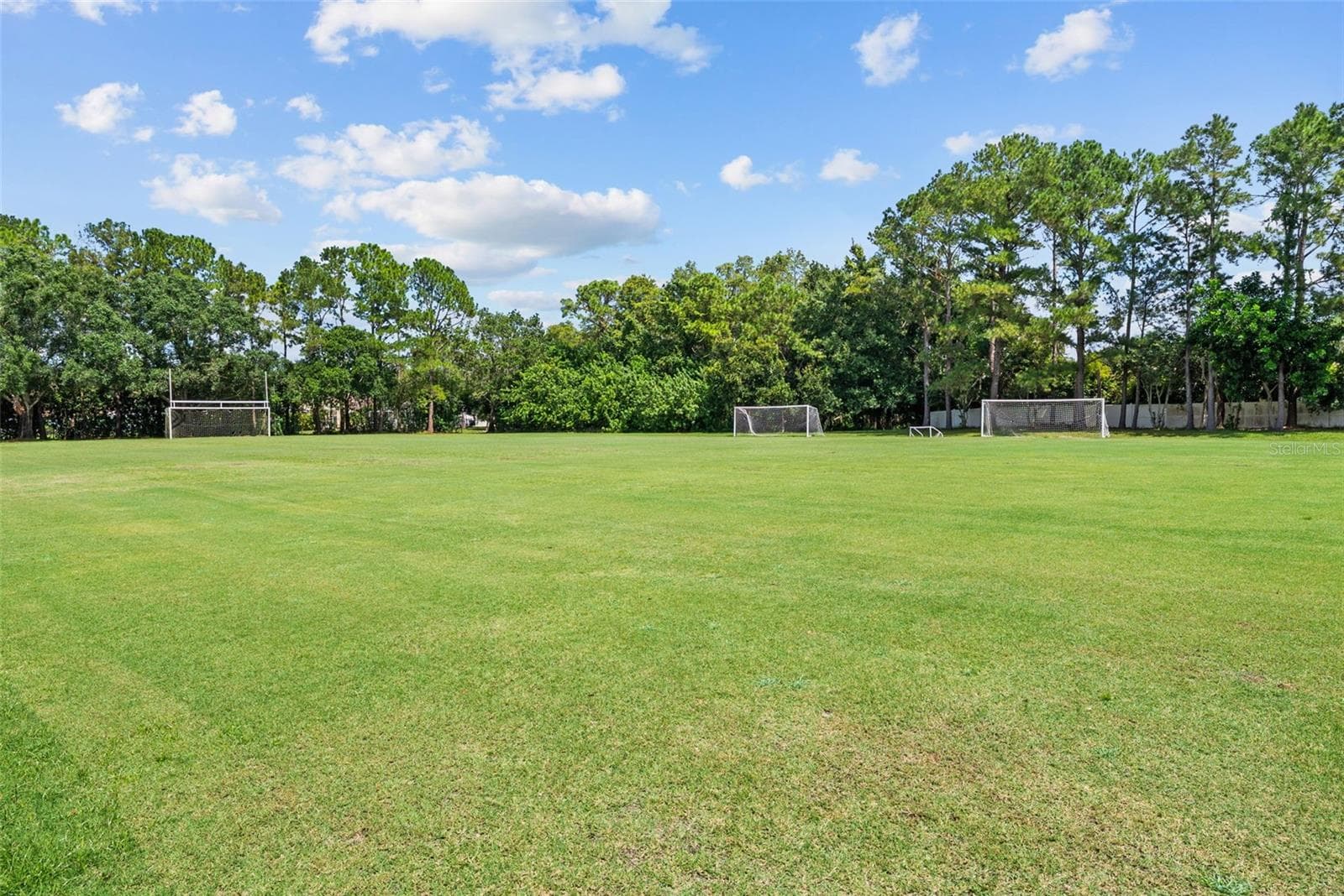 Single Family Residence at 3626 JUSTIN DR, PALM HARBOR, photo 97 of 111