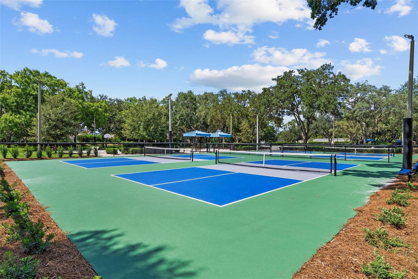 Single Family Residence at 3626 JUSTIN DR, PALM HARBOR, photo 102 of 111