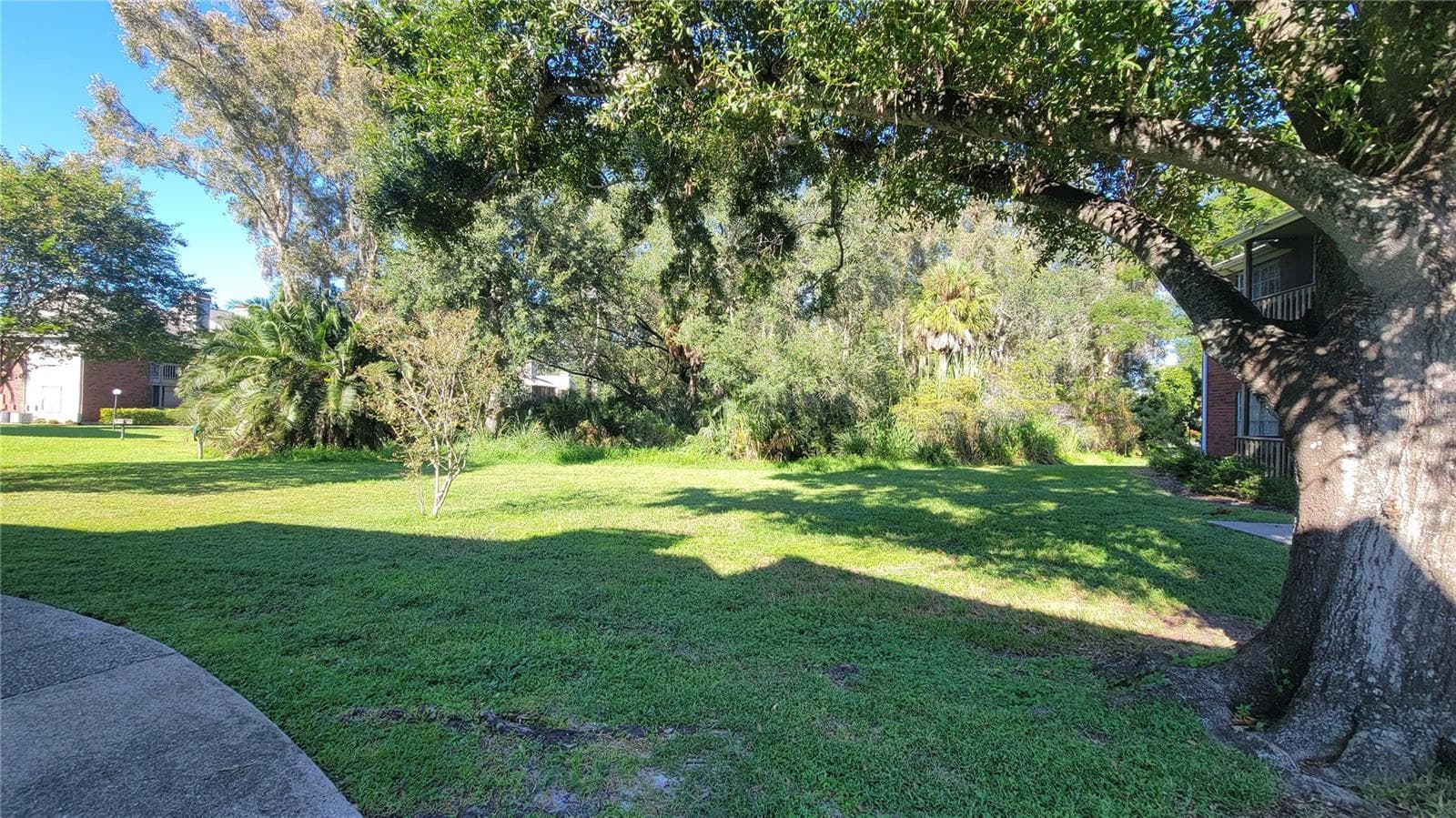 Condominium at 9100 DR MARTIN LUTHER KING JR ST N #206, ST PETERSBURG, photo 29 of 34