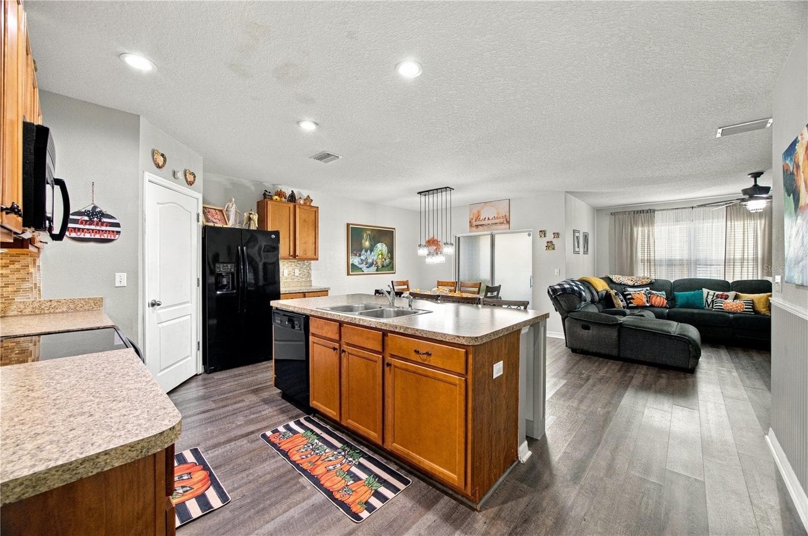 Kitchen & Hall - 3838 CRYSTAL DEW ST, PLANT CITY