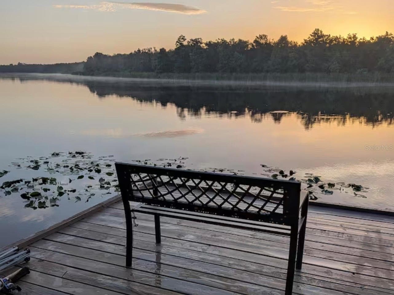 Tranquility - sunrise on the water - 3006 RIVER GROVE DR, TAMPA