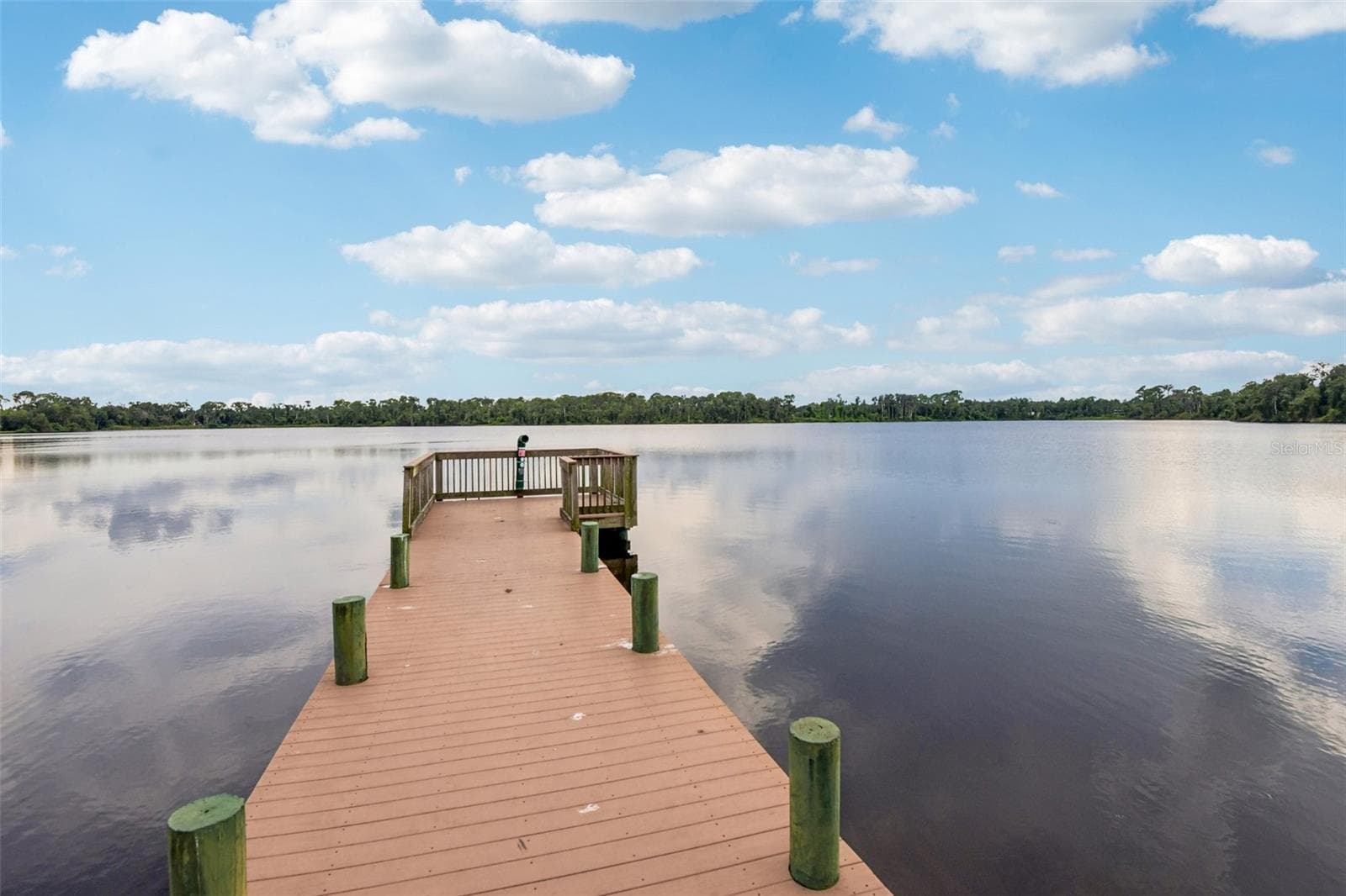 Community Amenities - community dock - 3503 OAK CLUB CT, PLANT CITY