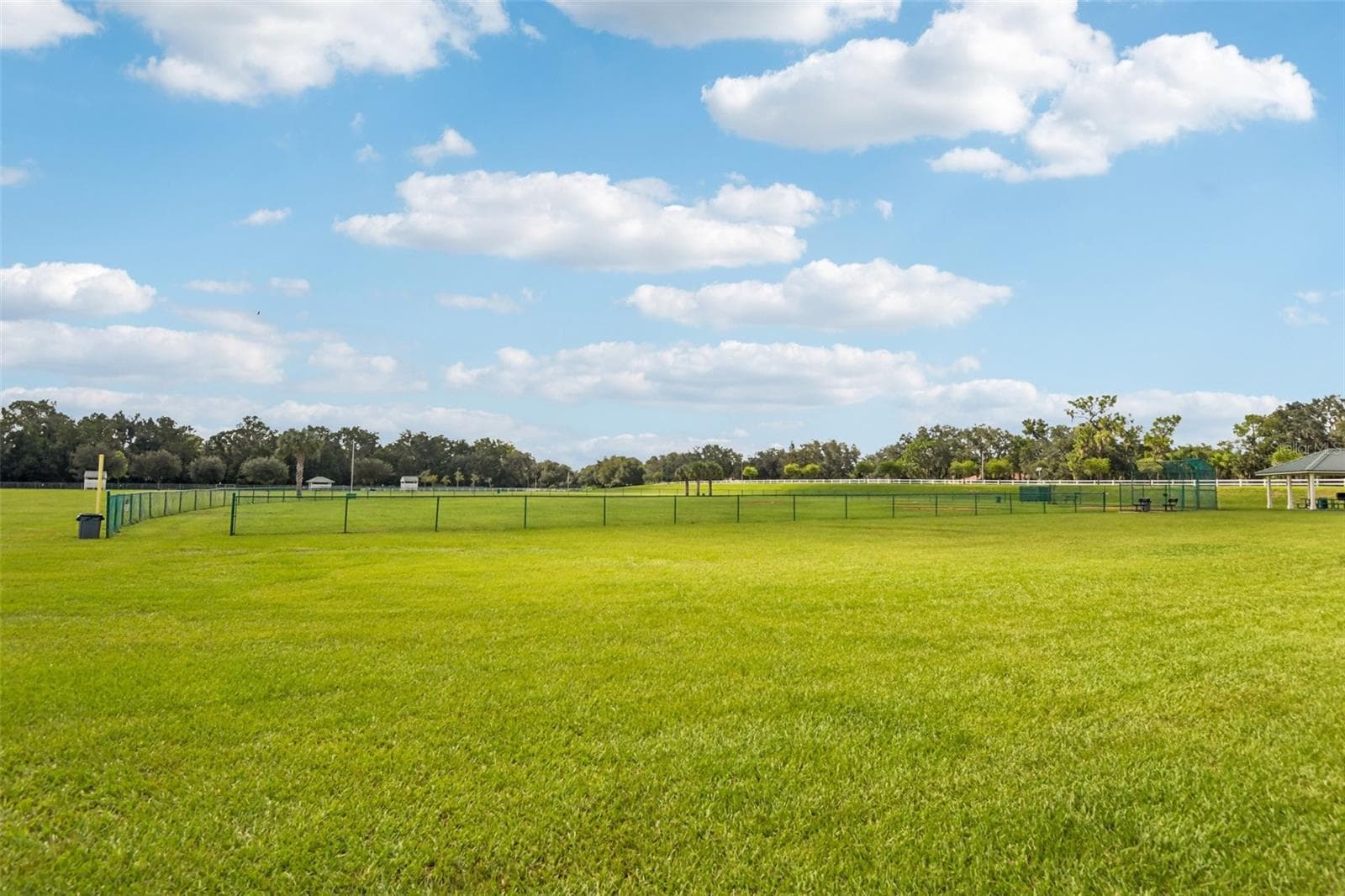 Community Amenities - Community Dog Park! - 3503 OAK CLUB CT, PLANT CITY