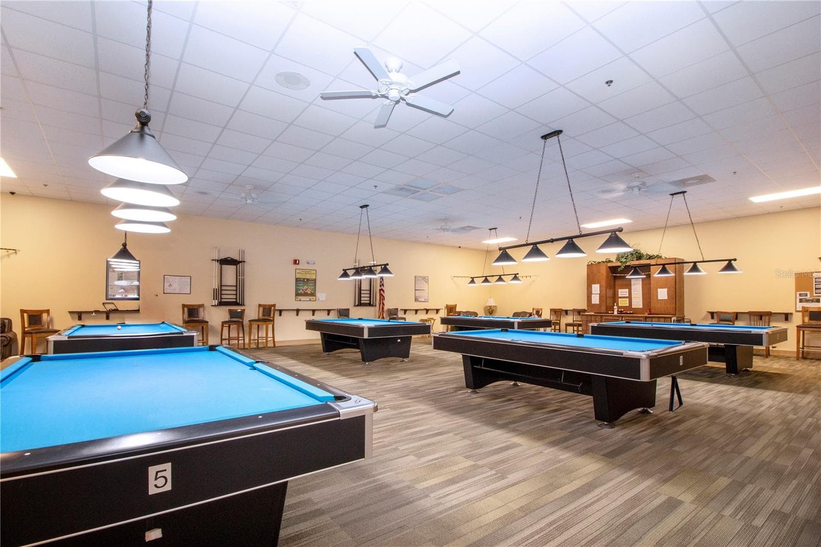 Condominium at 2203 MAYFIELD OAKS PL, SUN CITY CENTER, photo 53 of 56