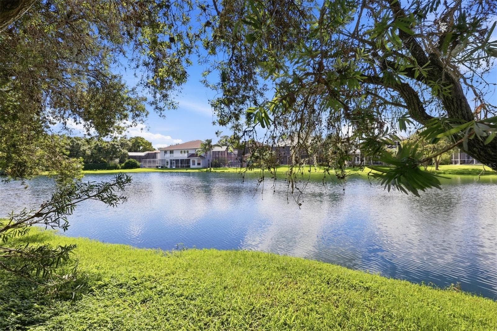 Path to Pickleball Court - 2242 CYPRESS HOLLOW CT, SAFETY HARBOR