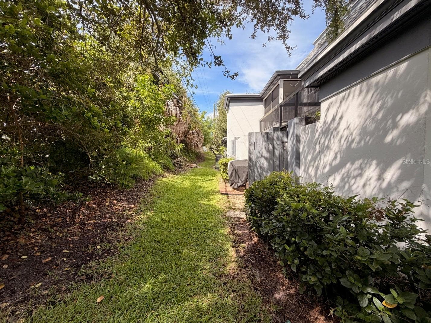 Backyard - 1225 N MCMULLEN BOOTH RD, CLEARWATER
