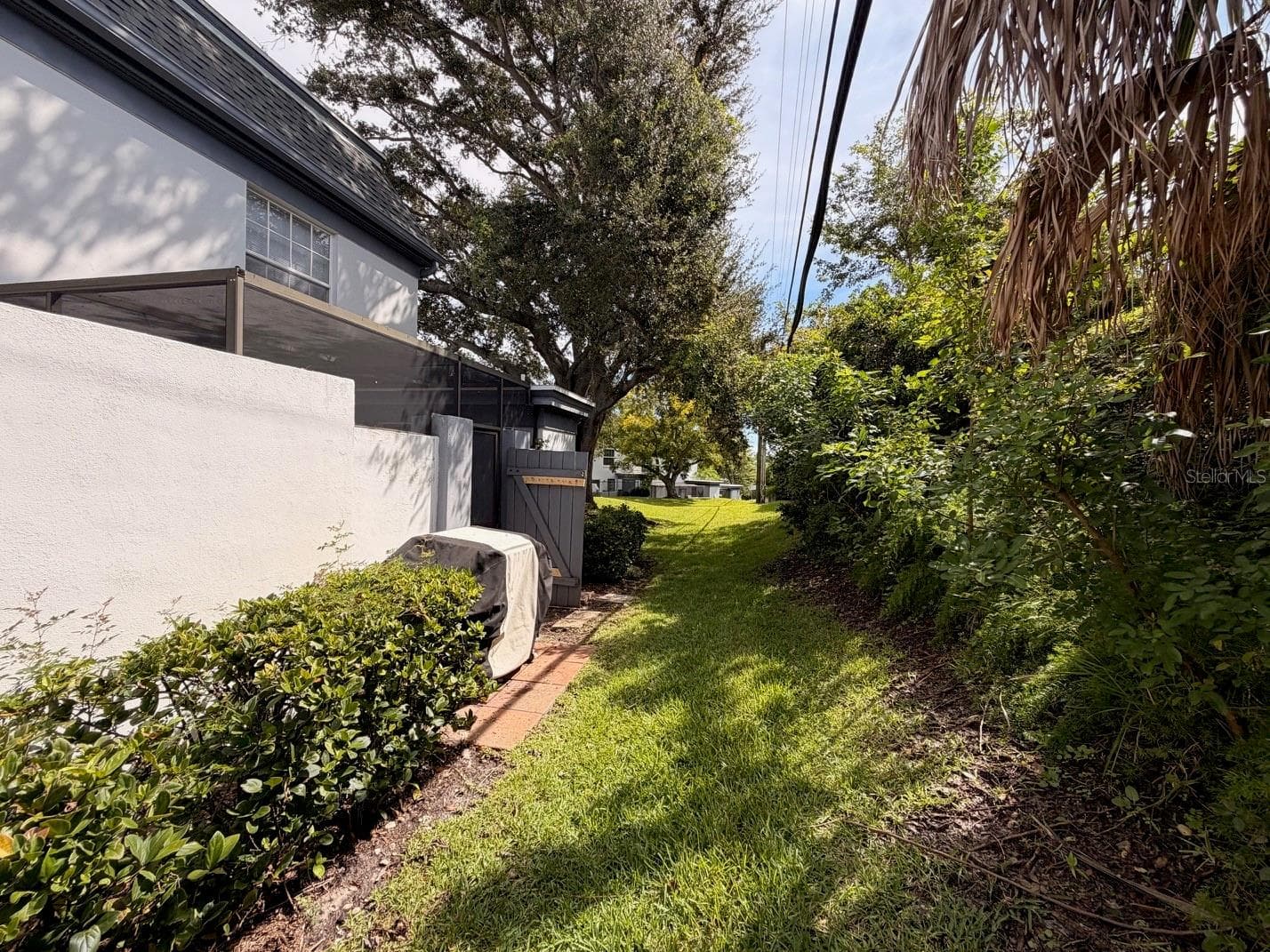 Backyard - 1225 N MCMULLEN BOOTH RD, CLEARWATER