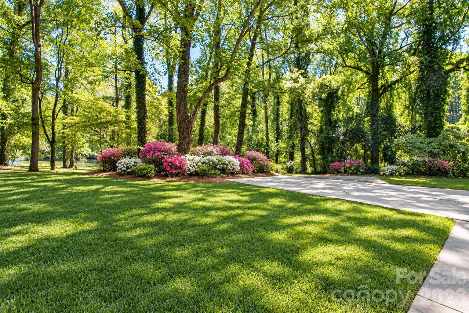 Photo as been enhanced by AI but it's a representation of the beautiful azaleas in the backyard. - 7400 Oakwood Lane, Charlotte
