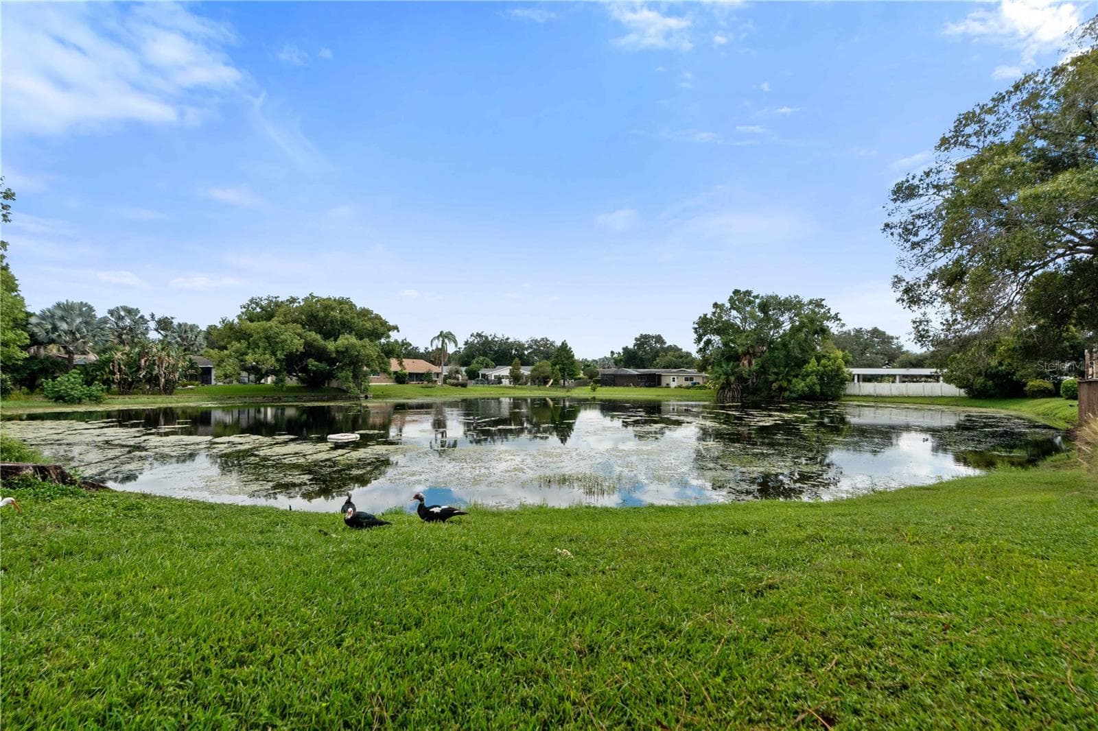 Condominium at 10455 CARROLLBROOK CT #114, TAMPA, photo 19 of 22