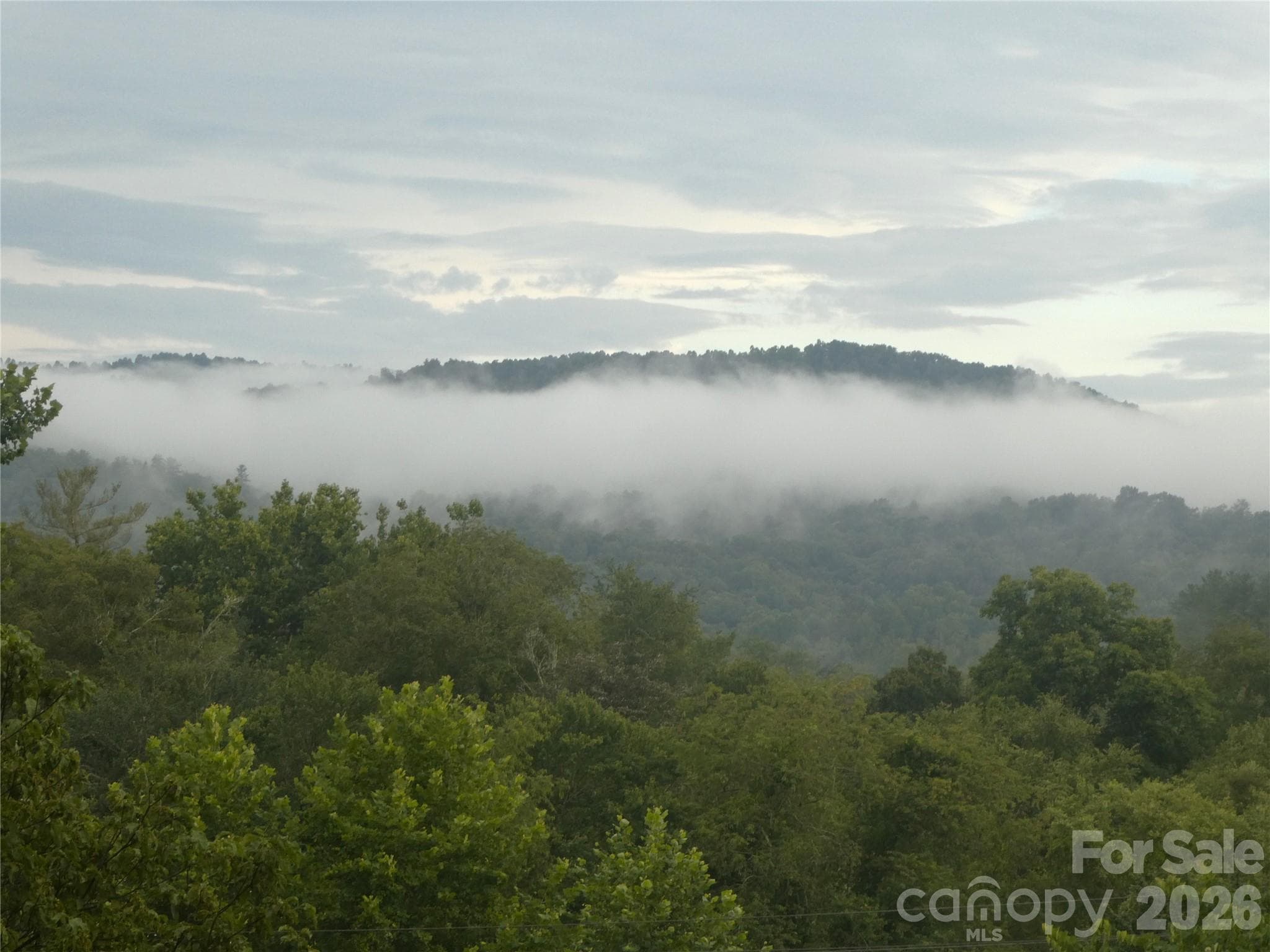 Great Views - 2008 Deep Woods Drive, Hendersonville