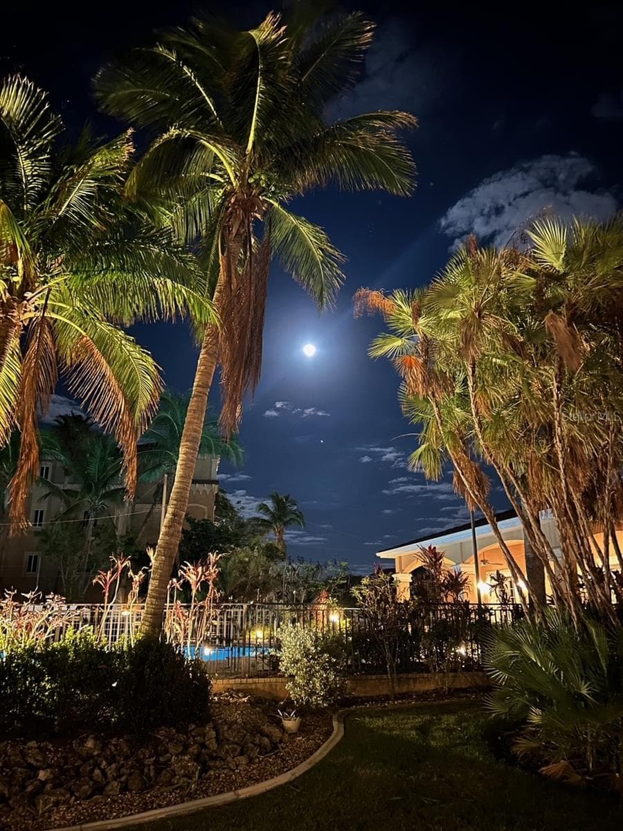 Moonlight swims under the stars - 95 N MARION CT #226, PUNTA GORDA