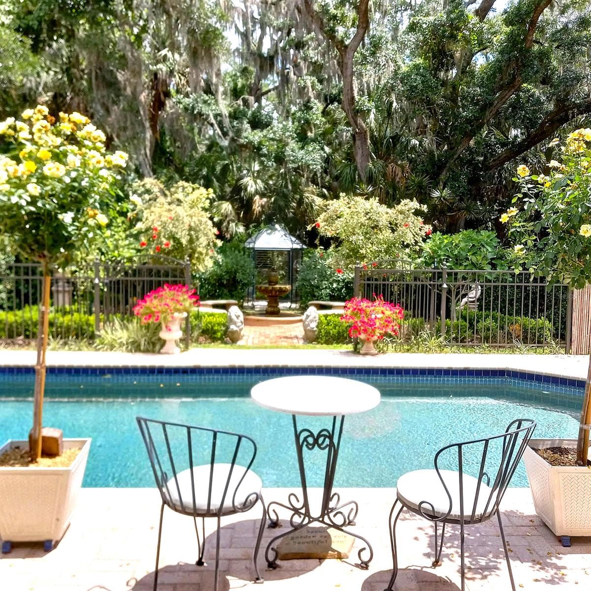 Your new life awaits in this stunning backyard. Hummingbirds love it here , so do Cardinals. Lg Oak tree has had Lighting added up to 20 ft that turn the yard into pure Magic at night. Has timer. Pool lighting added as well also on timer - 3171 DICK WILSON DR, SARASOTA