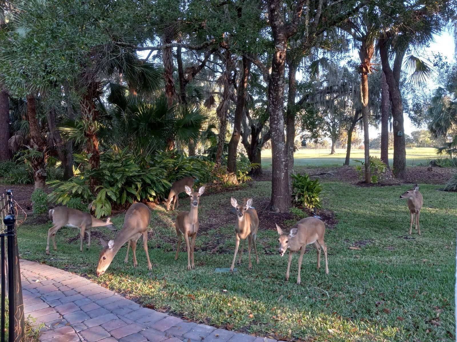 Single Family Residence at 3171 DICK WILSON DR, SARASOTA, photo 34 of 42
