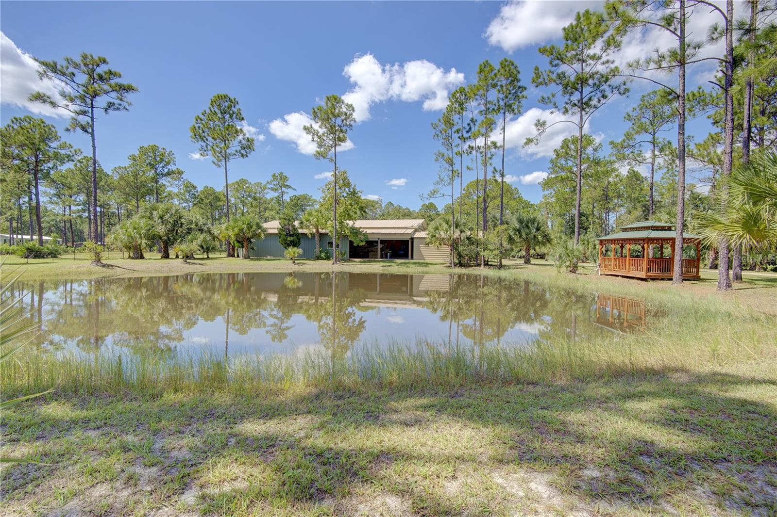 Stocked Pond - 420 SMITH RD, OSTEEN