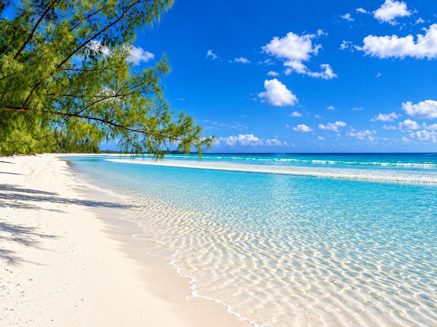SEVERAL AREA BEACHES - 2899 TURTLE TER, PALM HARBOR
