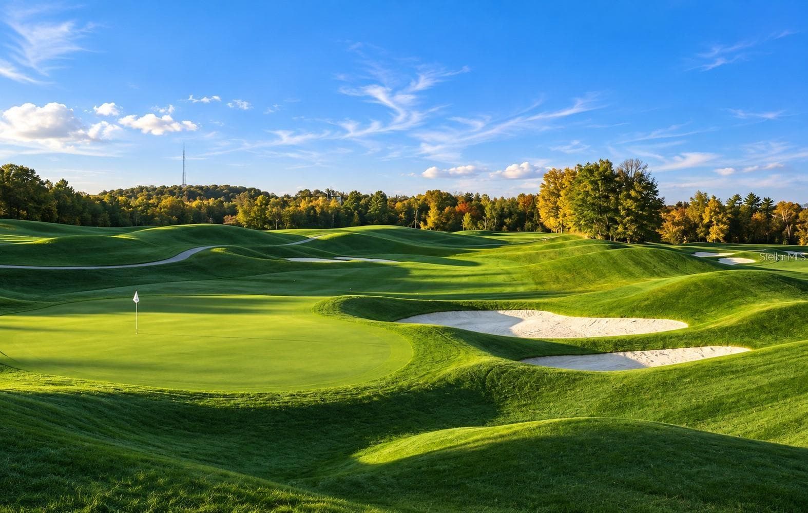 SEVERAL AREA GOLF COURSES - 2899 TURTLE TER, PALM HARBOR