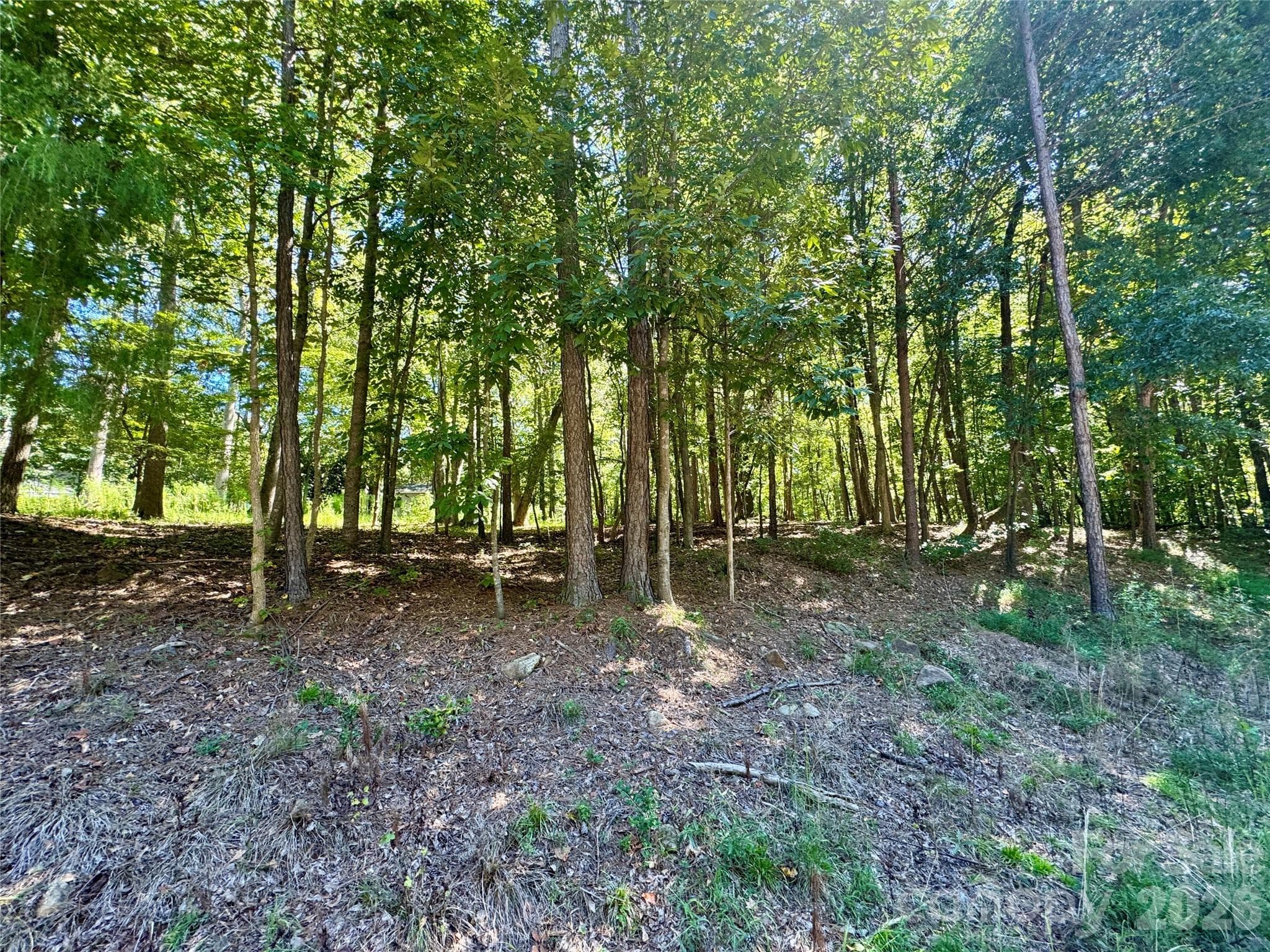 10062 Southwinds Drive