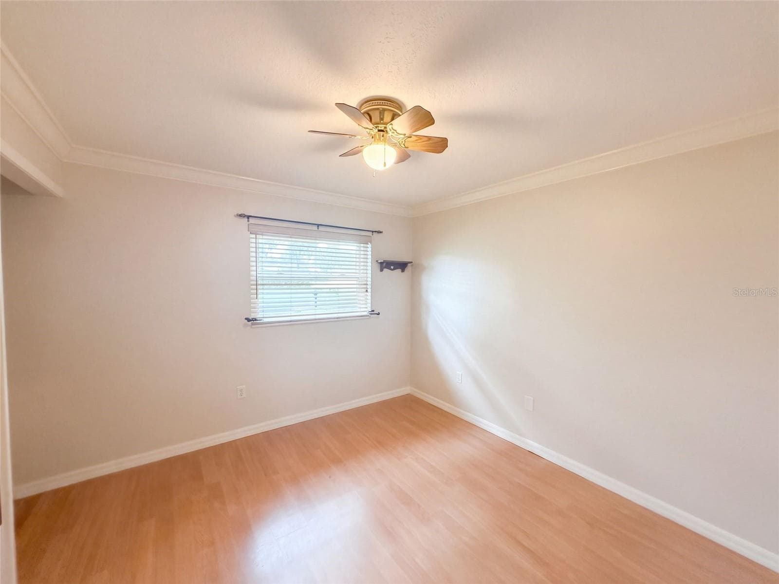 Single Family Residence at 2716 CHARLESTON DR, PLANT CITY, photo 6 of 14