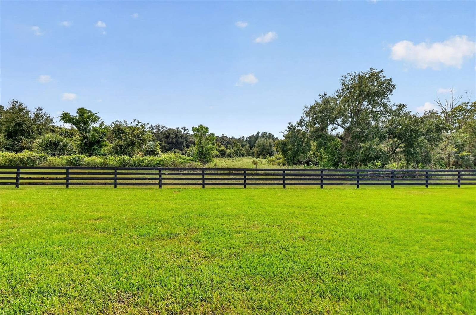 Spacious Rear Yard with PRIVATE PRESERVE VIEWS and ROOM FOR A POOL! - 654 SHIVERS LOOP, THE VILLAGES