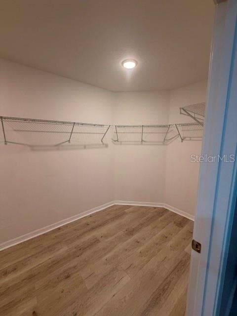 Single Family Residence at 8882 FLOURISH DR, LAND O LAKES, photo 15 of 17