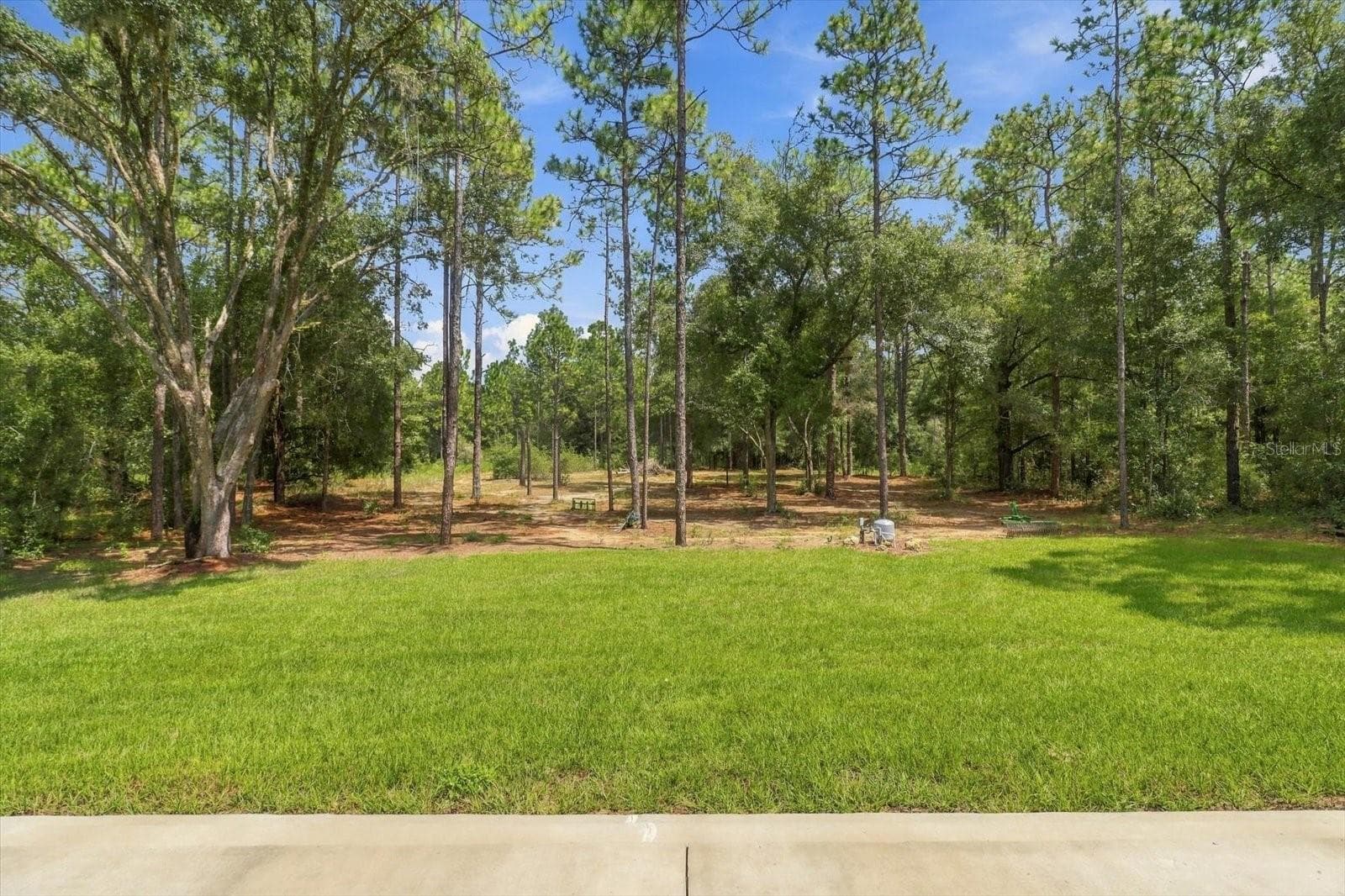 Single Family Residence at 7299 SW 202ND CT, DUNNELLON, photo 41 of 47