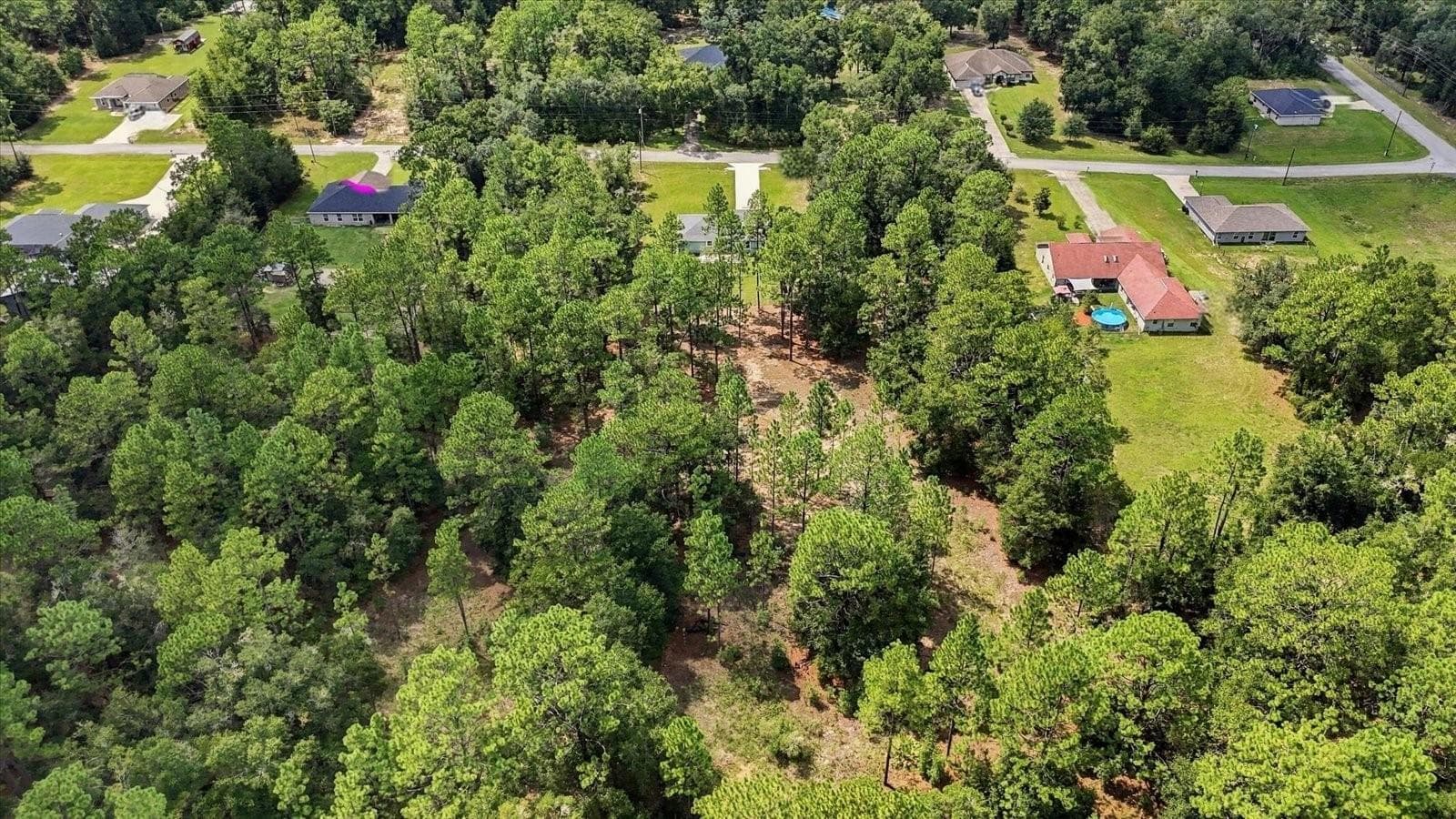 Single Family Residence at 7299 SW 202ND CT, DUNNELLON, photo 46 of 47