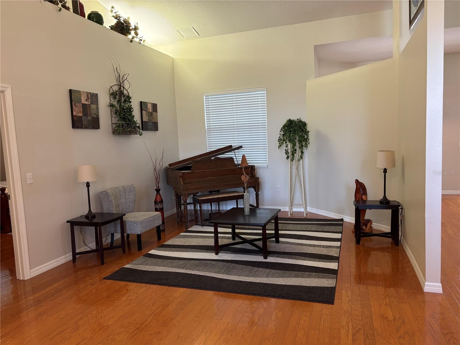 Livingroom - 12306 JOAVAJIN RD, DADE CITY