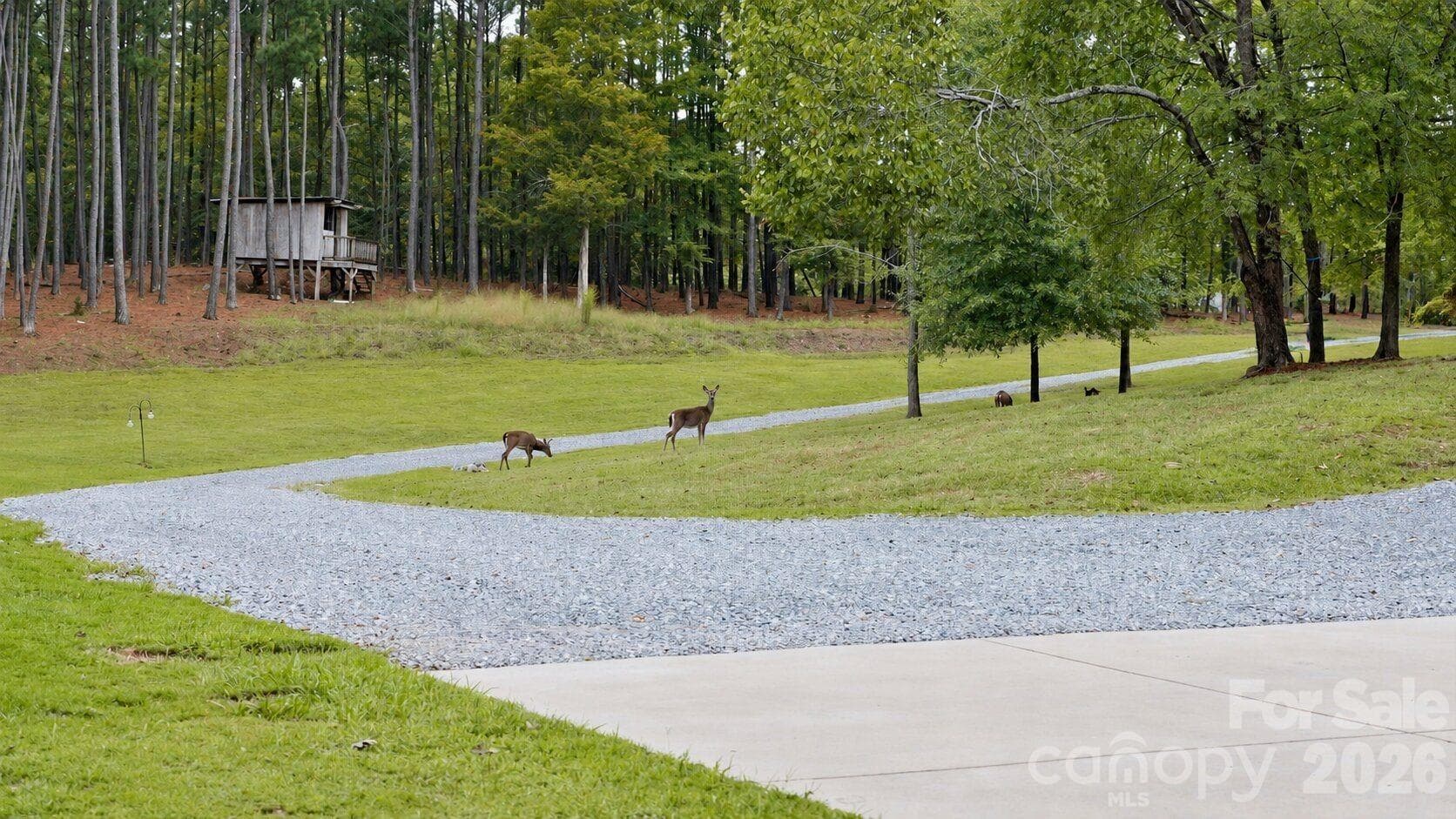 Frequent Visitors - 2055 Tiger Paw Lane, York