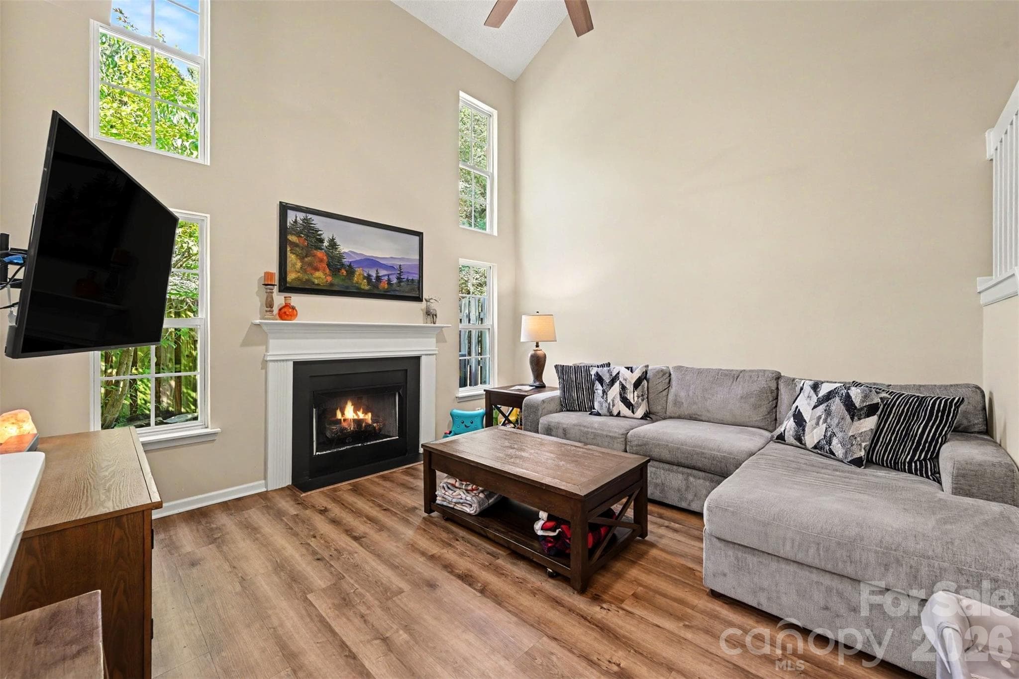 Townhouse at 9618 Elizabeth Townes Lane, Charlotte, photo 9 of 20