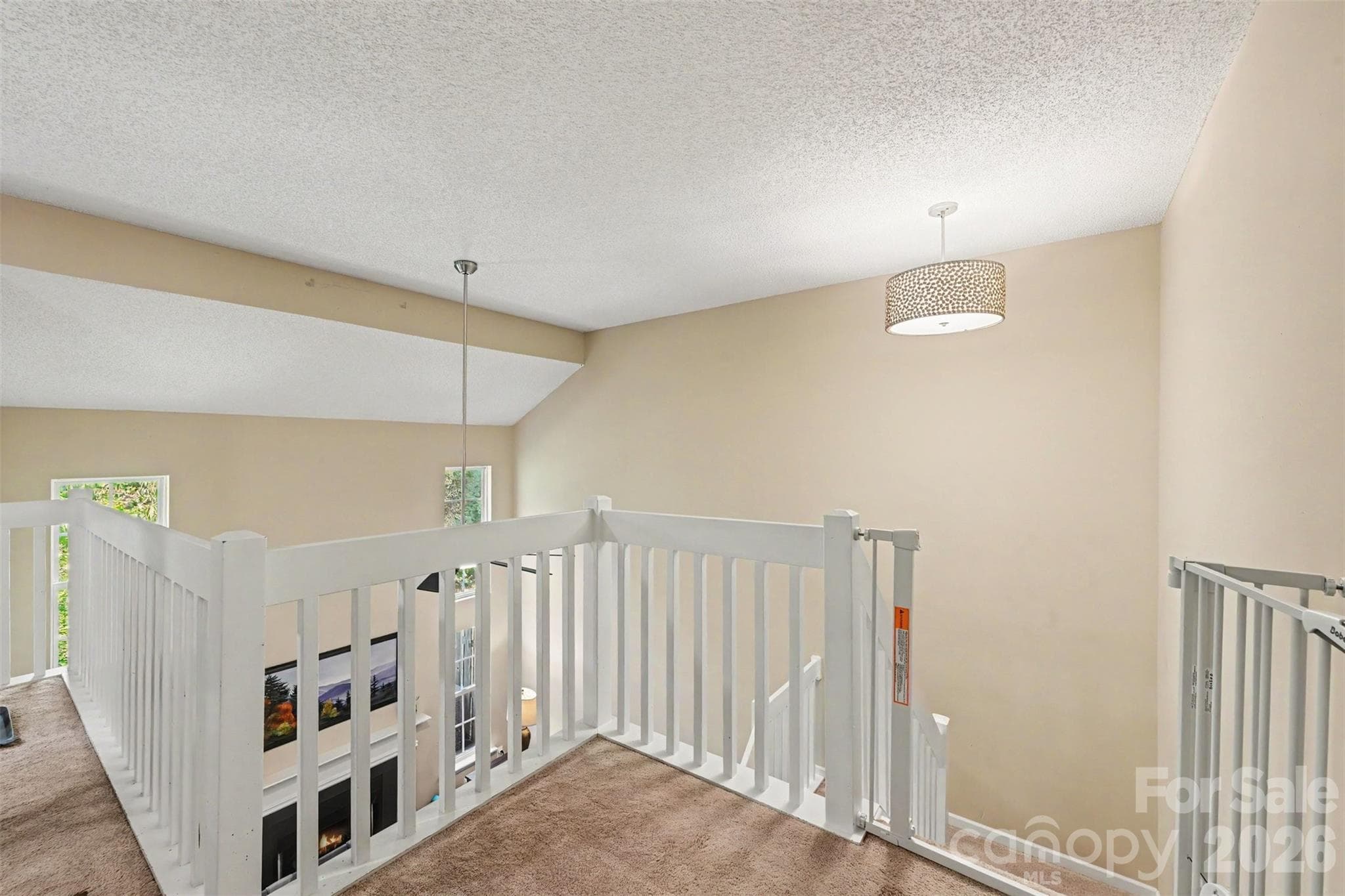 Townhouse at 9618 Elizabeth Townes Lane, Charlotte, photo 11 of 20