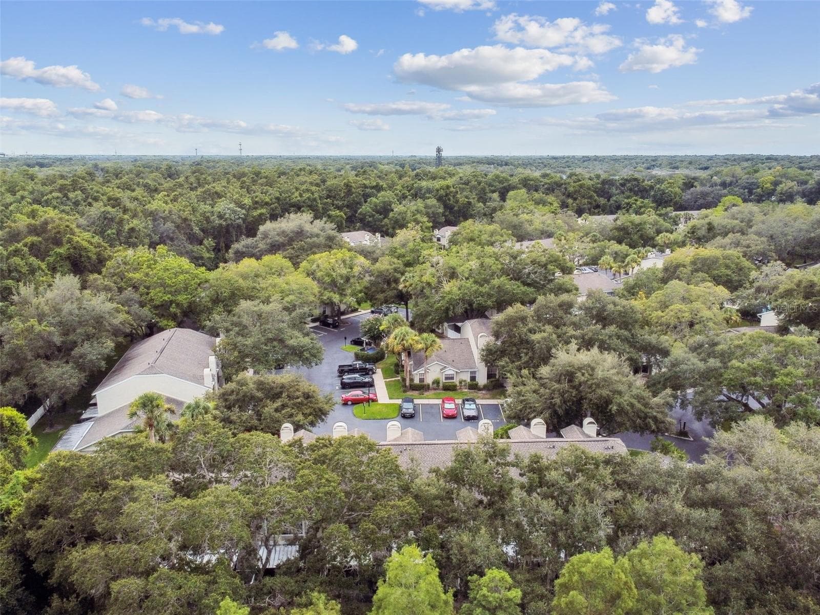 Condominium at 5100 BURCHETTE RD #1804, TAMPA, photo 68 of 85