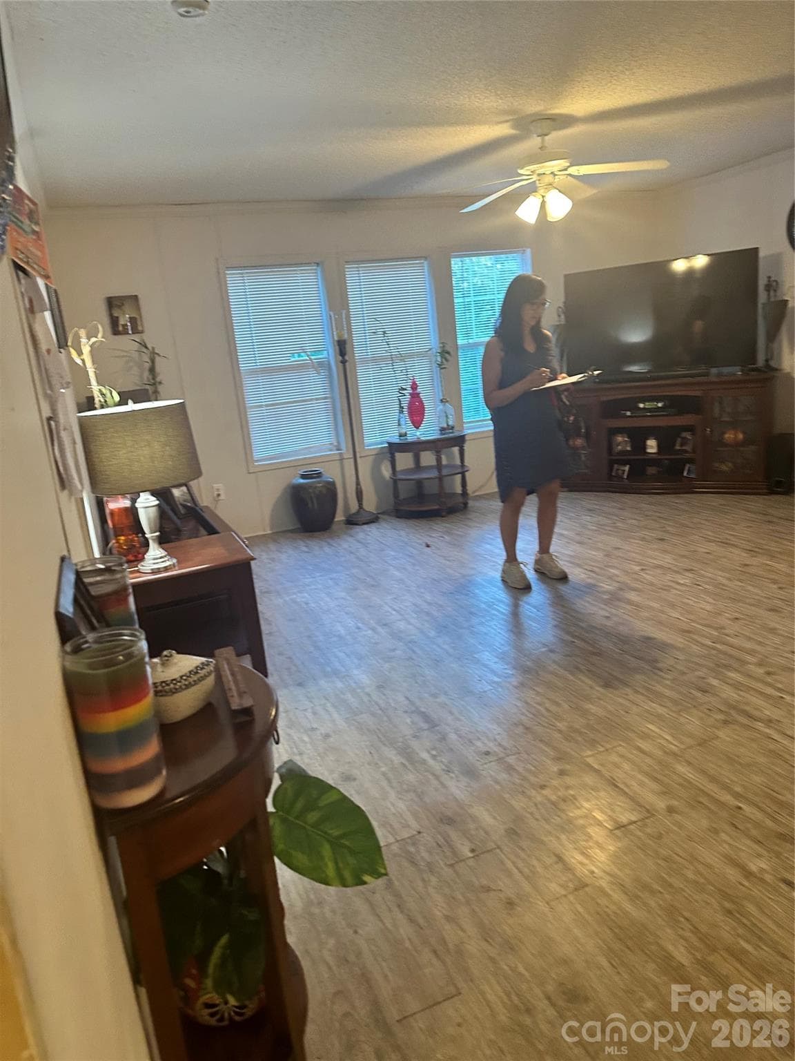 Open Living Room - 349 Martin Street, Ansonville