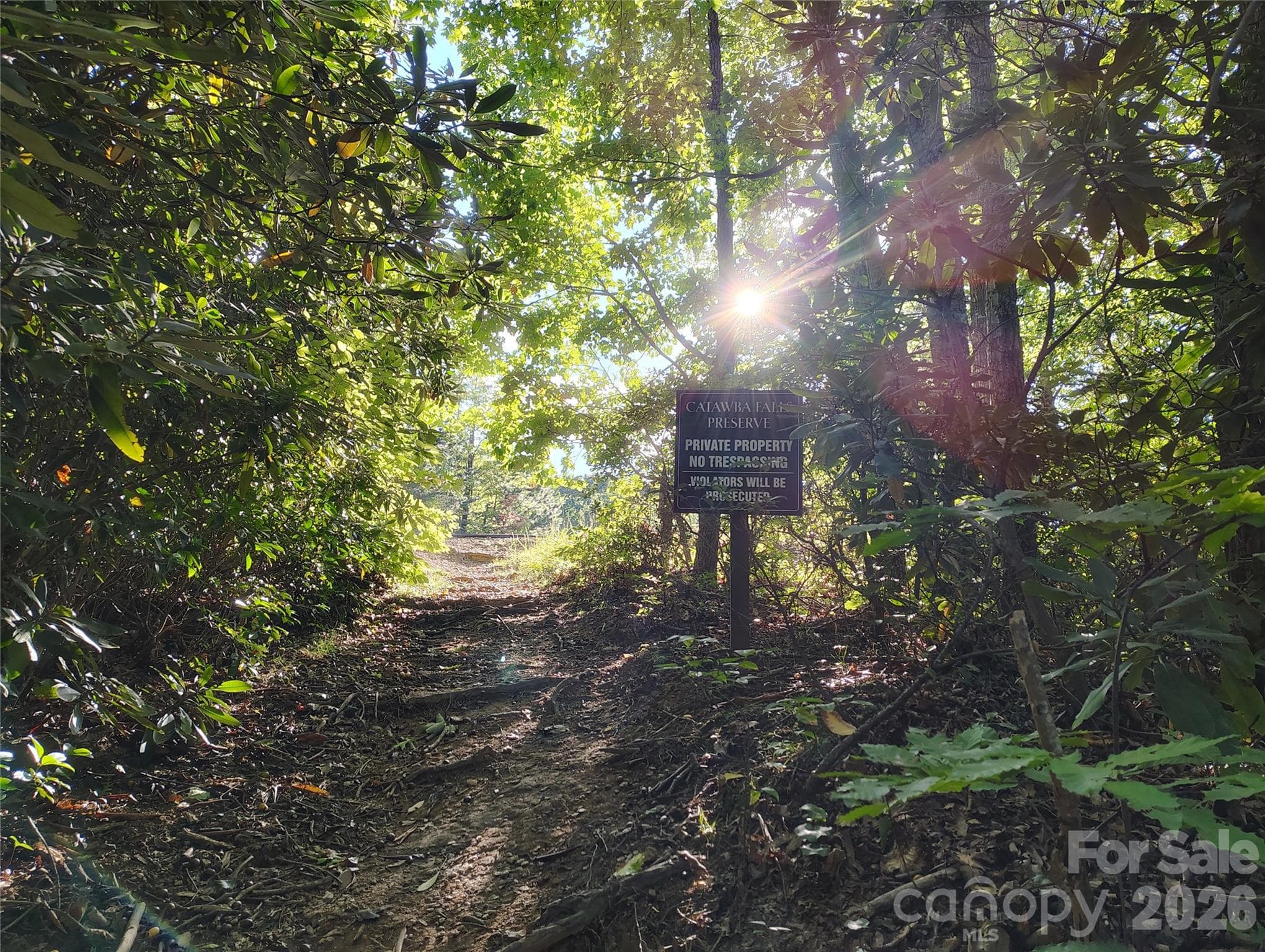 Your private trail to Upper Catawba Falls - 304 Feather Falls Trail, Old Fort