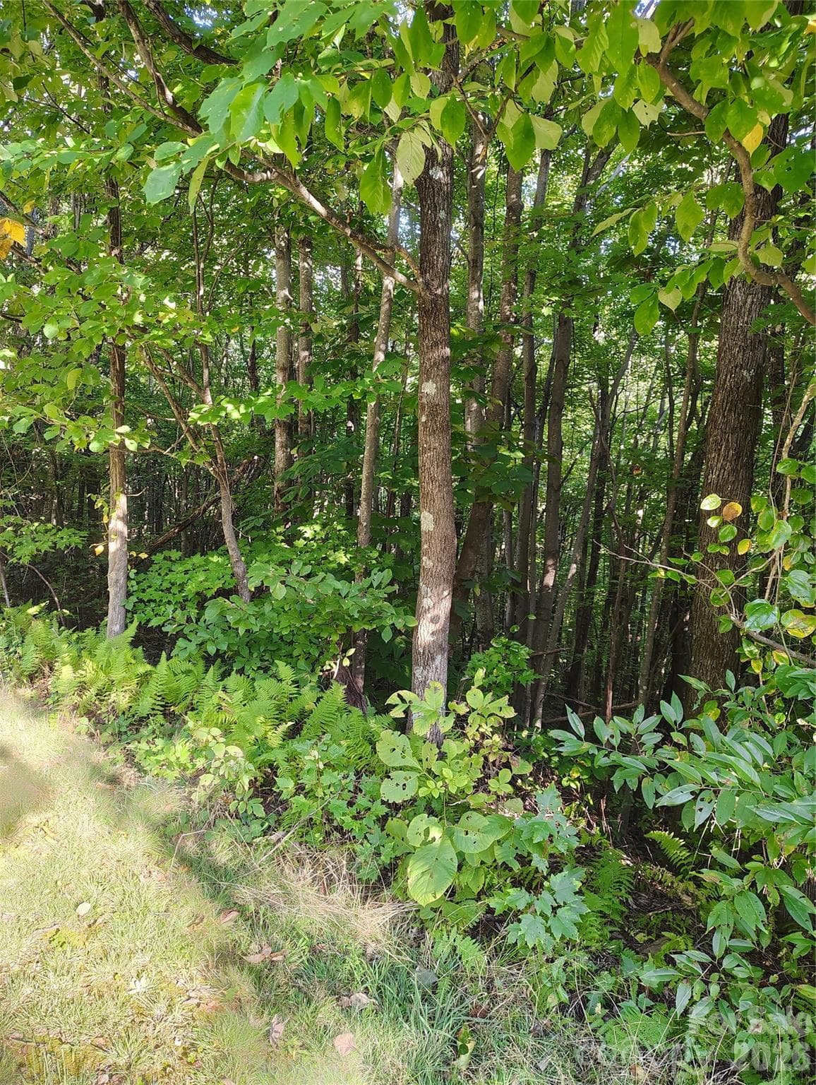 Lot at 304 Feather Falls Trail, Old Fort, photo 8 of 14