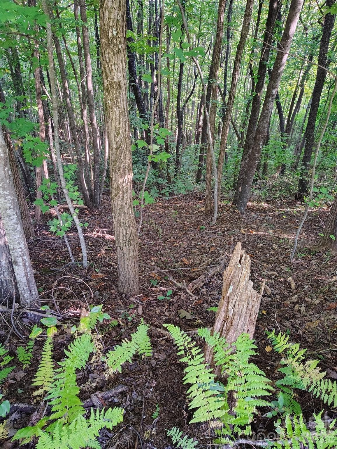 Lot at 304 Feather Falls Trail, Old Fort, photo 9 of 14