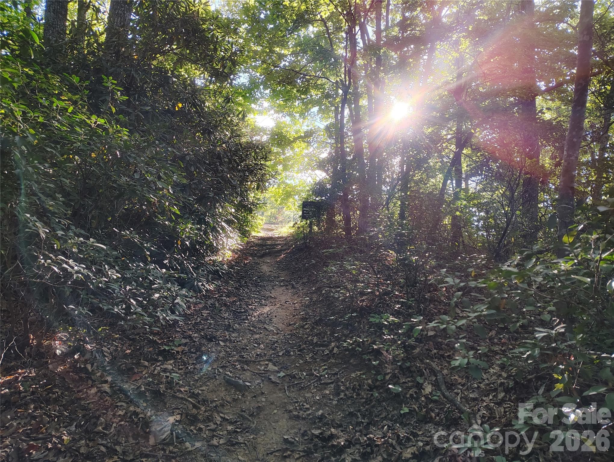 Private trail to Upper Catawba Falls - 0000 Cheyenne Falls Trail, Old Fort