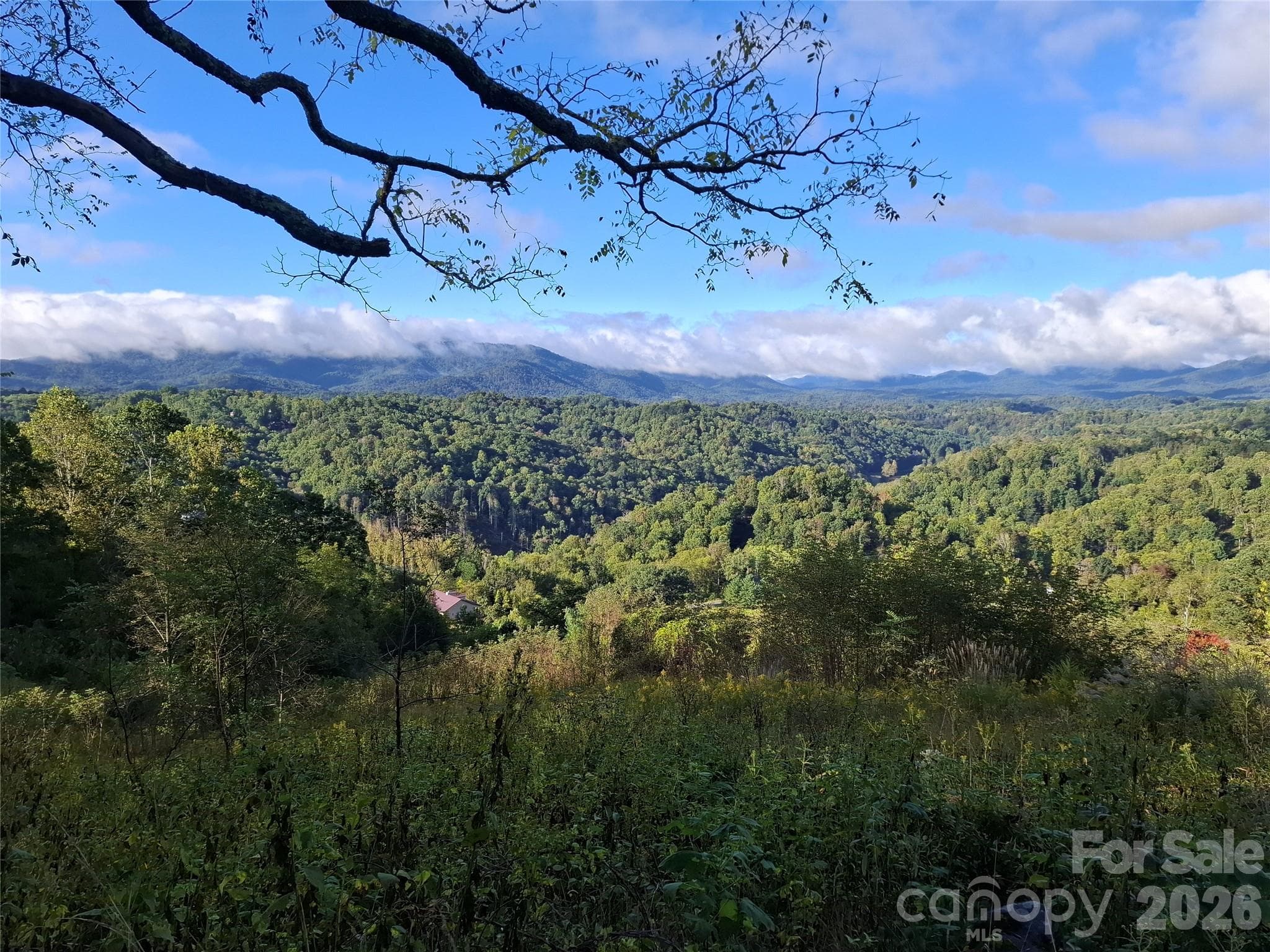 Lot at 310 Sunset Mountain Road, Bakersville, photo 2 of 20
