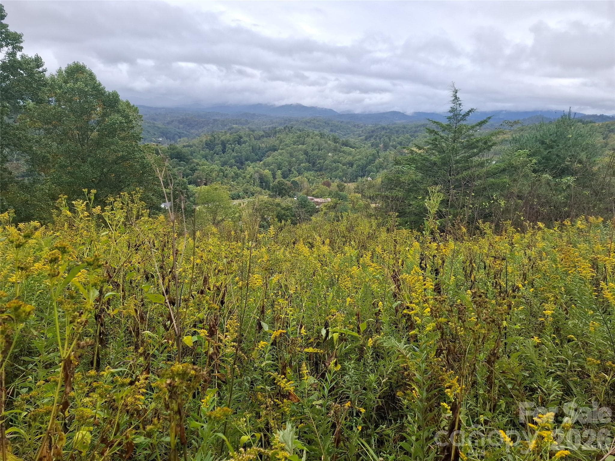Lot at 310 Sunset Mountain Road, Bakersville, photo 3 of 20