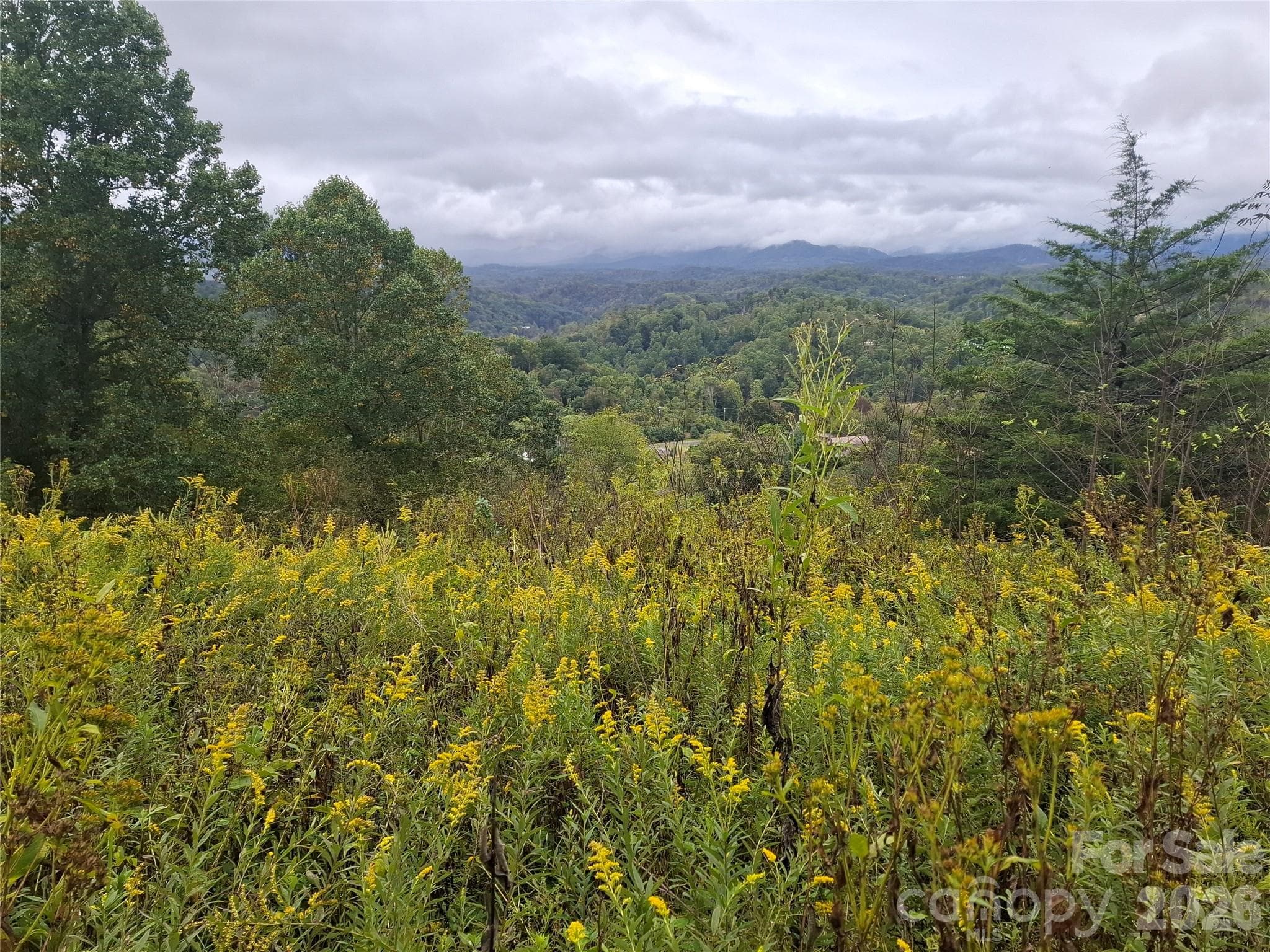 Lot at 310 Sunset Mountain Road, Bakersville, photo 4 of 20